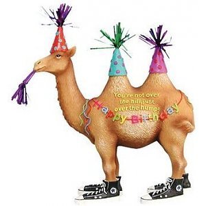 westland-happy-birthday-camel-happy-birthday.jpg